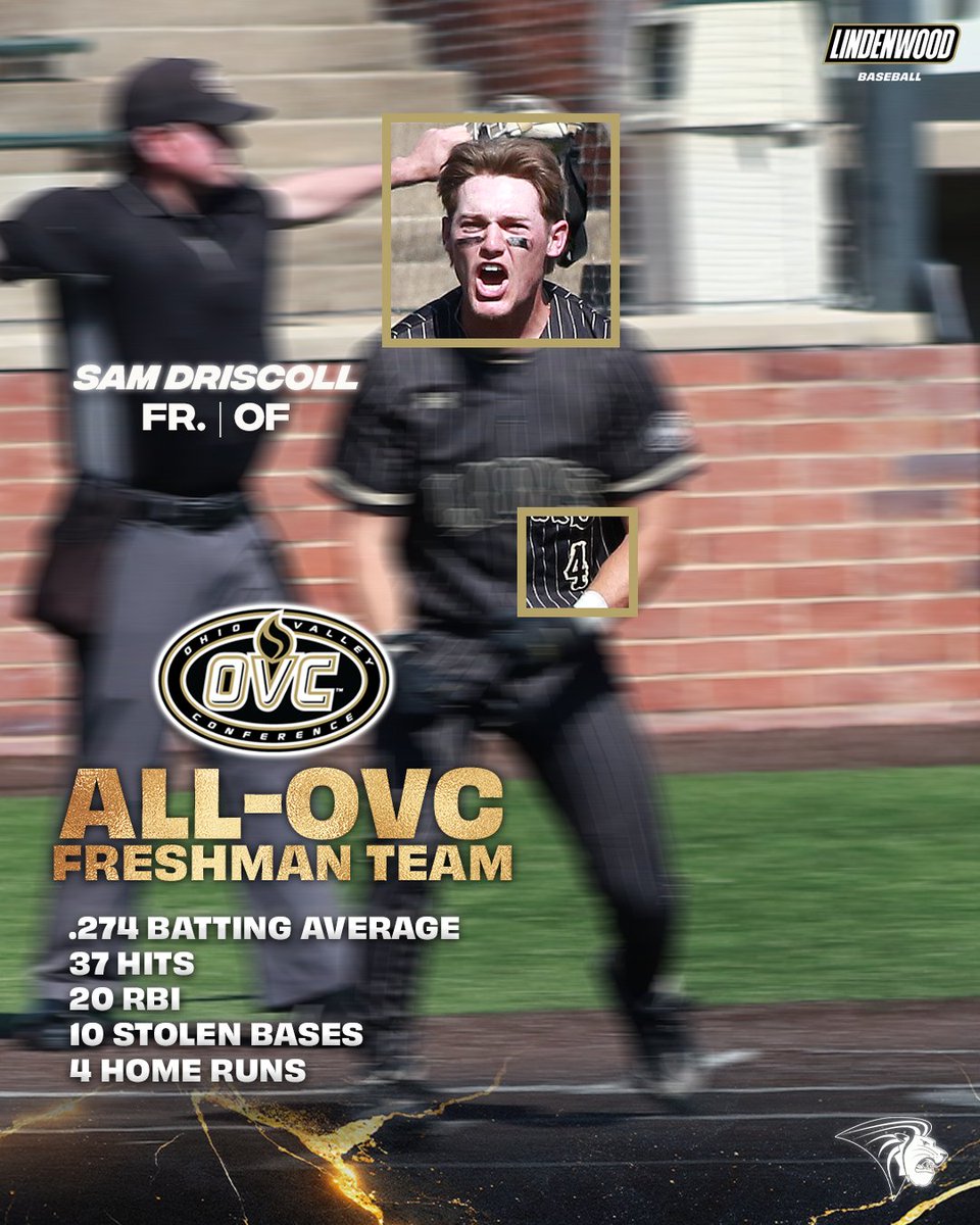 Lindenwood University Baseball tweet media