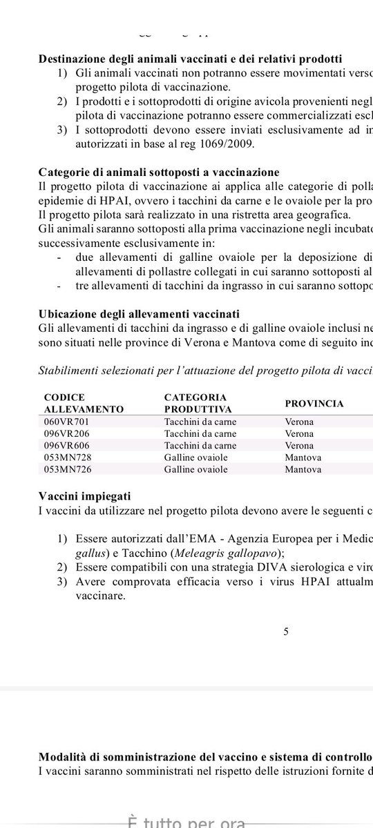 semprecammi tweet media