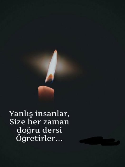 alp_all's tweet photo. https://t.co/pfvtJQo9zq