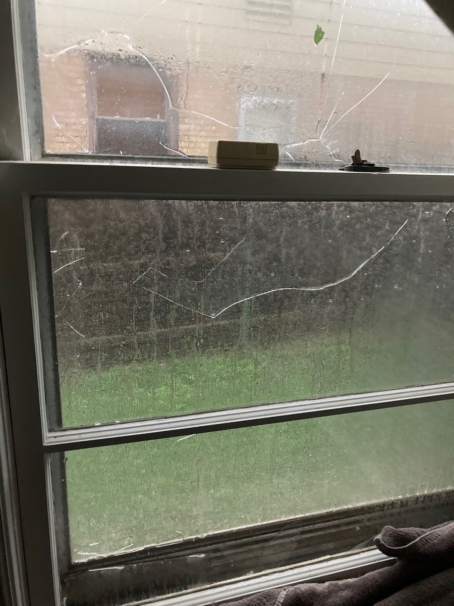 curlyheadedkid's tweet photo. A year ago today I would be seeing @halsey for the first time. Instead, it was cancelled and I cried on my couch as hail impaled my house, breaking a window. Hoping for another chance this year ✨🎱🌟 https://t.co/Bag5TZd8Lg