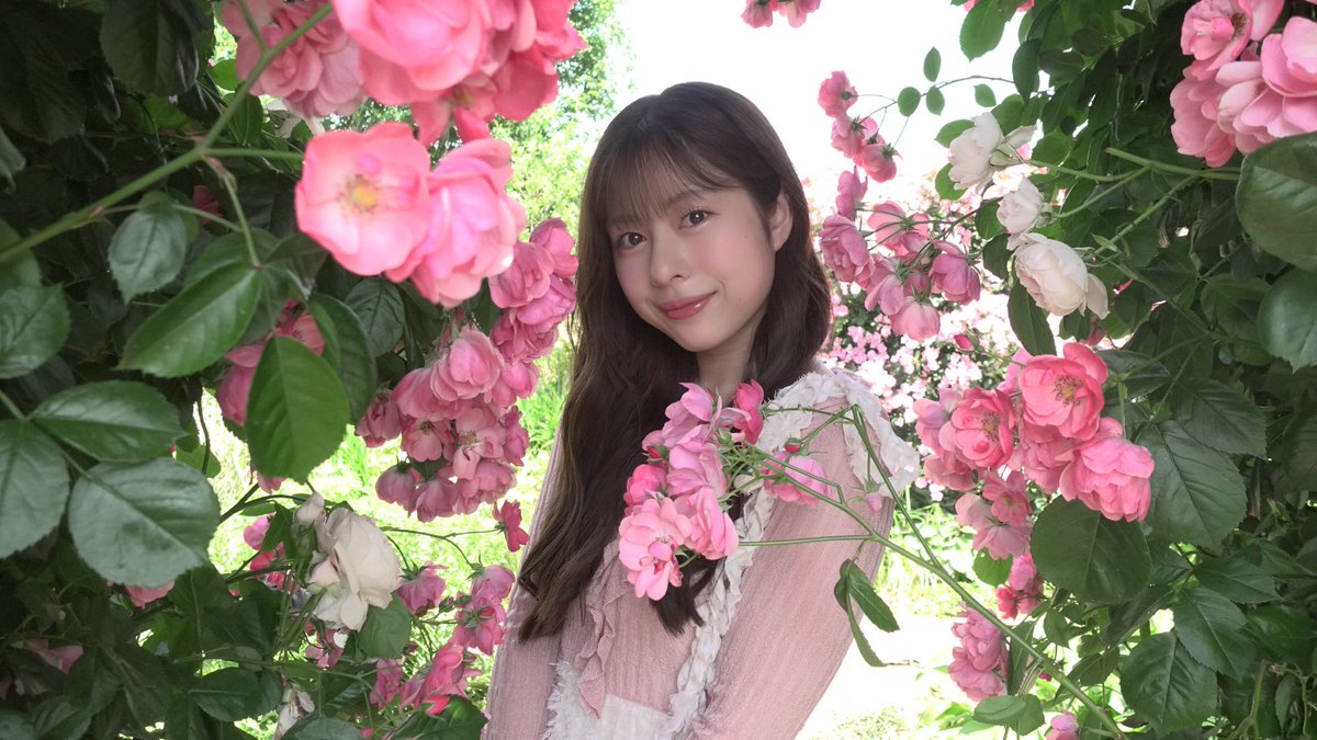 夏目ここな tweet media