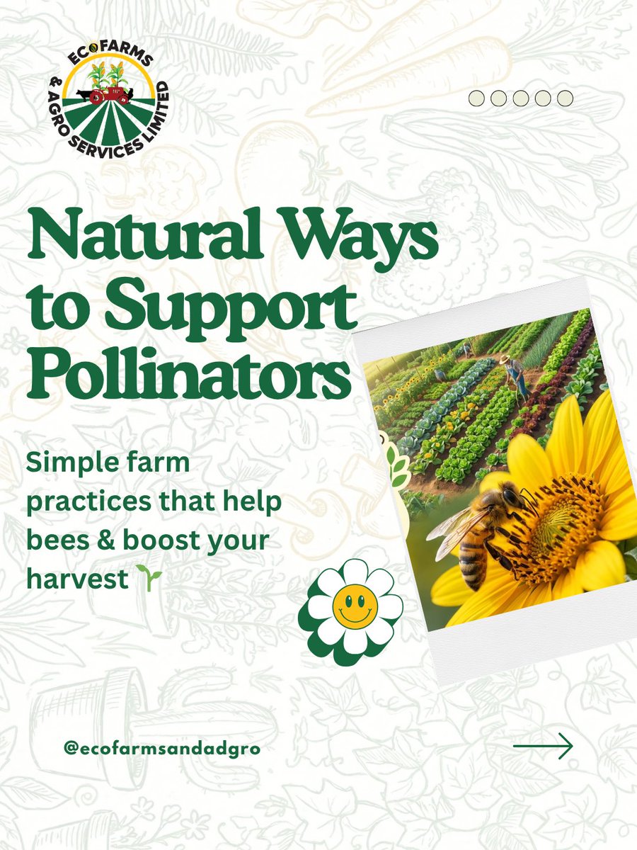 Ecofarmsandagro's tweet photo. Ahead of #WorldBeeDay, let’s talk about the unsung heroes of our food system: pollinators! 🐝✨

Protecting them isn't just eco-friendly—it directly boosts your harvest yields. Here are 5 natural ways to support bees on your farm today. 👇 https://t.co/qop1xmiXbc