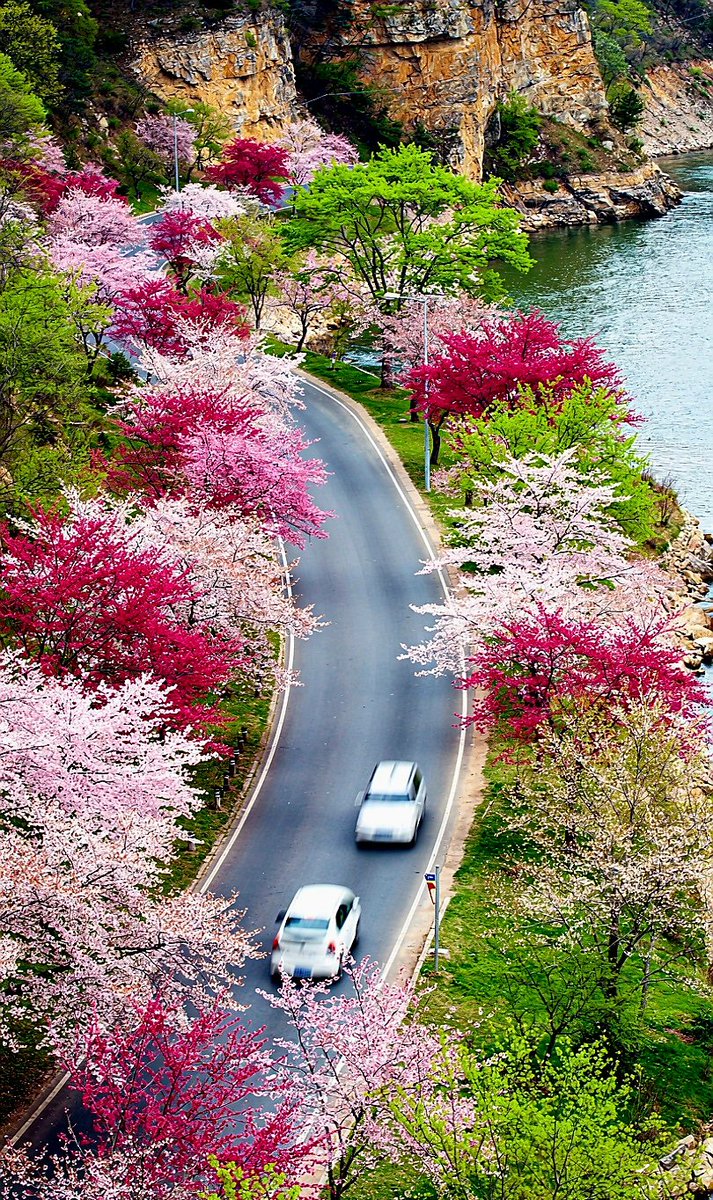 SyedhaiderAlis9's tweet photo. 🌸🌿🌺🪻 Good  Evening 🪻🌺🌿🌷
Beautiful  colorful  nature so amazing view everyone want to see the beautiful view of nature. 🌸🪻🌺🌿🌷
#mountains #aiartwork #midjourney  #Flowers #treading #naturelovers #nature #landscapes #fypシ #Trending https://t.co/I8MqBIXMer