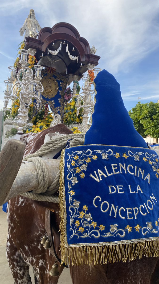 AnaBSP_9's tweet photo. Una década de sentimientos, fe y promesas
Una década siendo tu eco en el camino
Una década mi pueblo a tus pies, Rocío https://t.co/w4PjRhSBdt