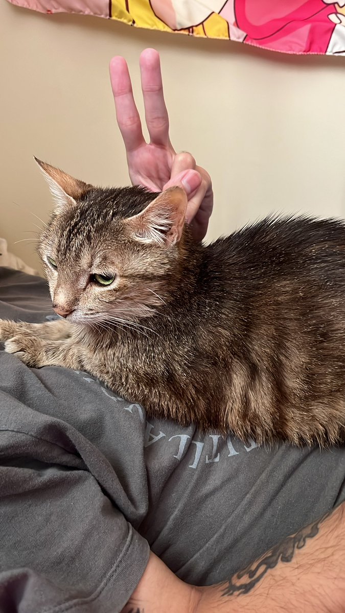 😺 Xiofanna tweet media