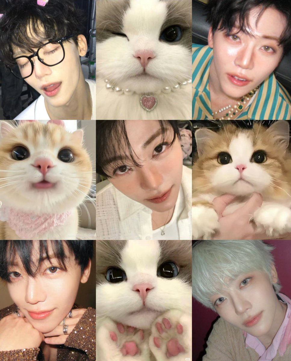 キラリ✨คุนนู๋น้องลูกเน้กโกะจัง🐈👑✨ tweet media