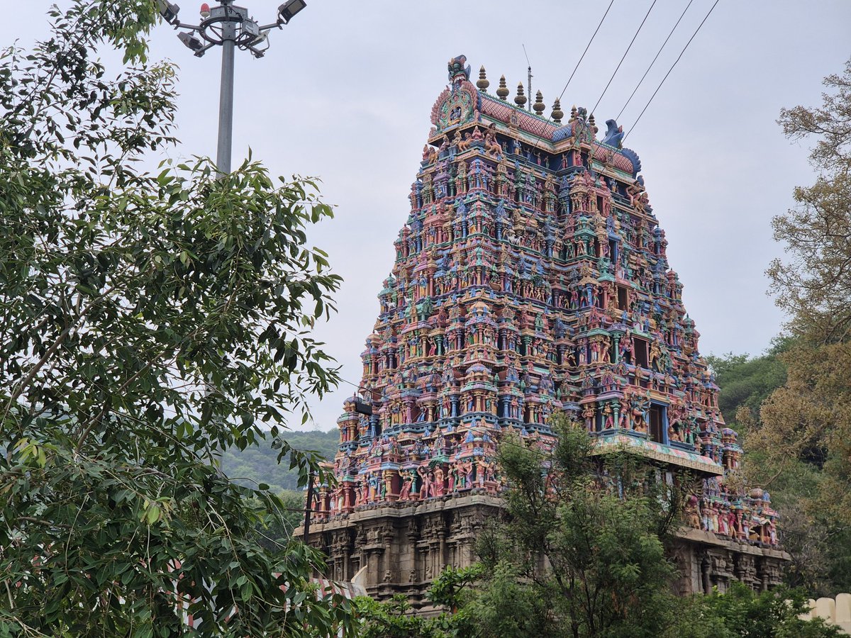 Vasanth kumar k tweet media