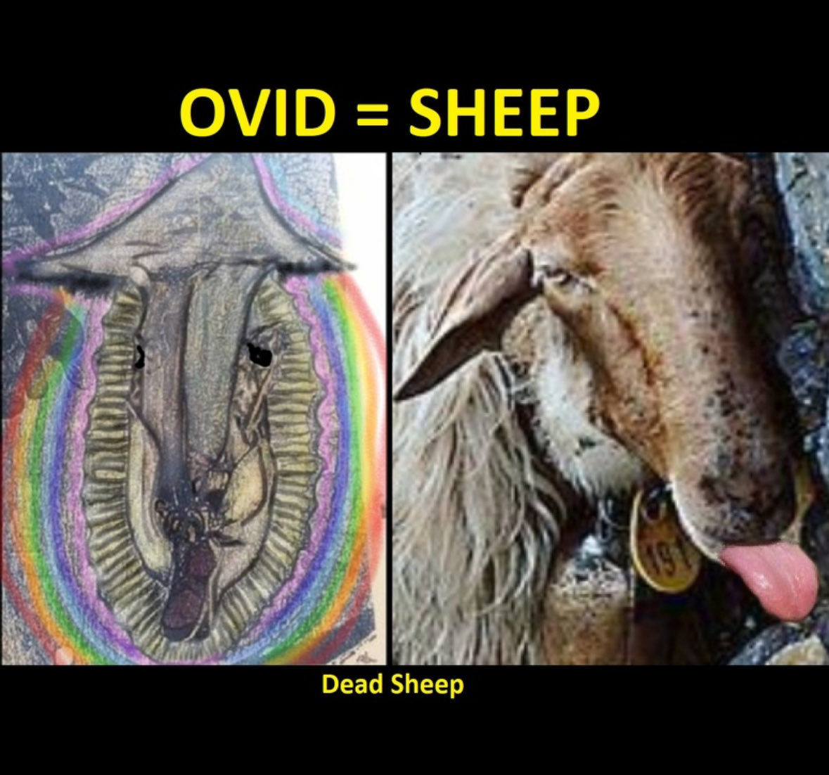 Getfishing76's tweet photo. @Tetelestai1989 @RealAlexJones Obama 
Presidential portrait is serpent in garden 
Vatican is built in the shape of a crowned serpent birthing a serpent audience hall that’s parthenogenesis 
Tsunami over New York 
Virgin upside down dead sheep 
@JonathanKleck / https://t.co/8TLTwJeFMp https://t.co/dxry2o6lLv