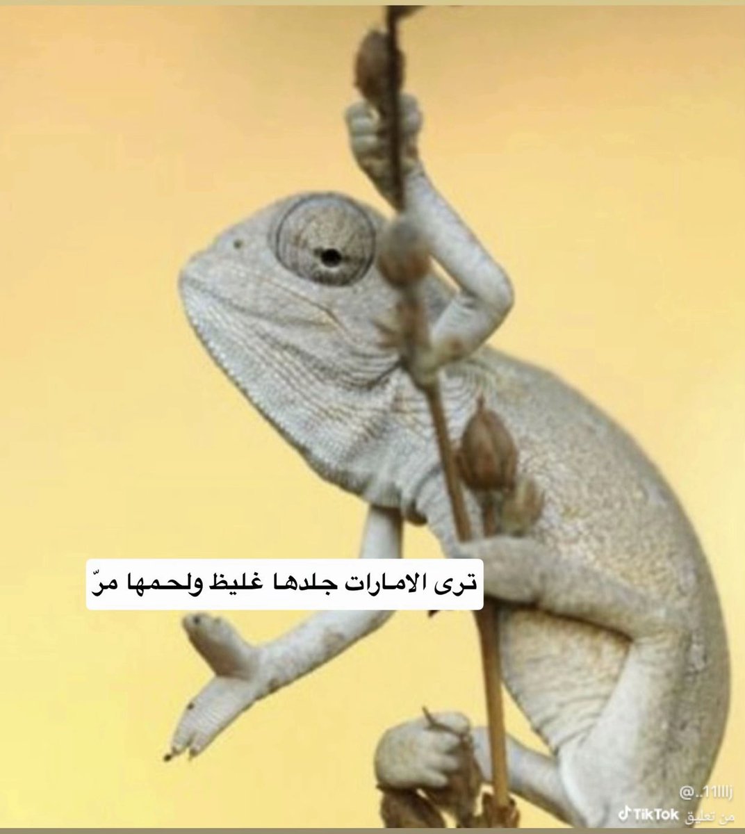 fawaz tweet media