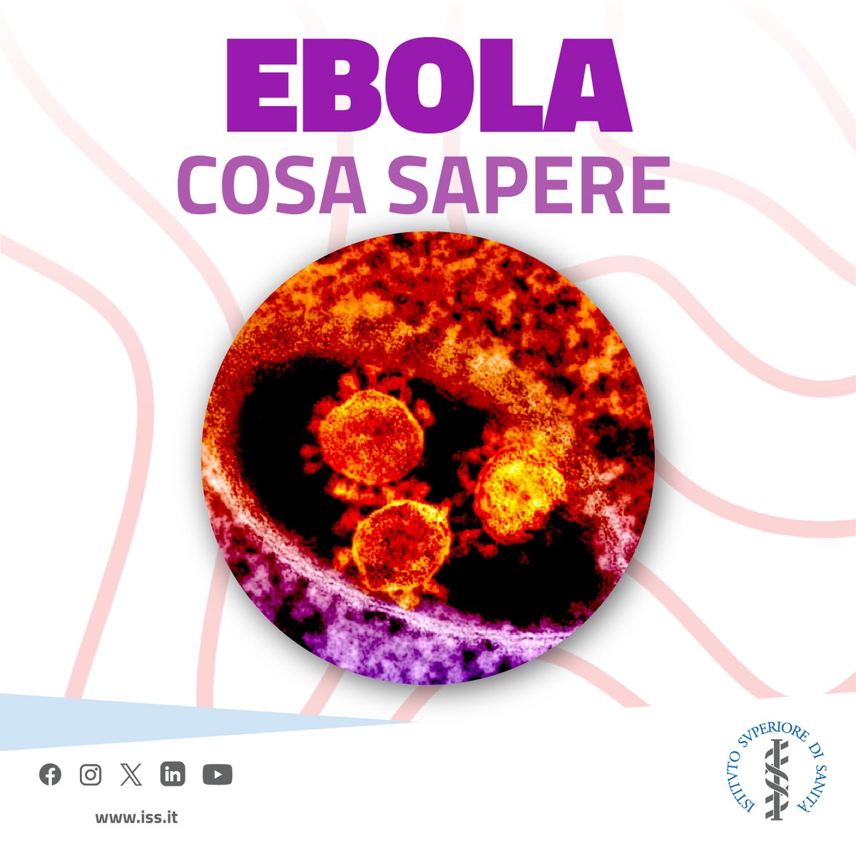 istsupsan's tweet photo. 🔴 Oggi facciamo chiarezza sulle ultime news sull’#ebola:
Il 16 maggio 2026 @WHO dichiara un'emergenza per epidemia da virus #Bundibugyo (una specie del virus Ebola) in #Congo.
🌍 Per @ECDC_EU il rischio per la popolazione europea è molto basso.
🔎  https://t.co/rgo2wIlcug
#iss https://t.co/iubzWkKufz