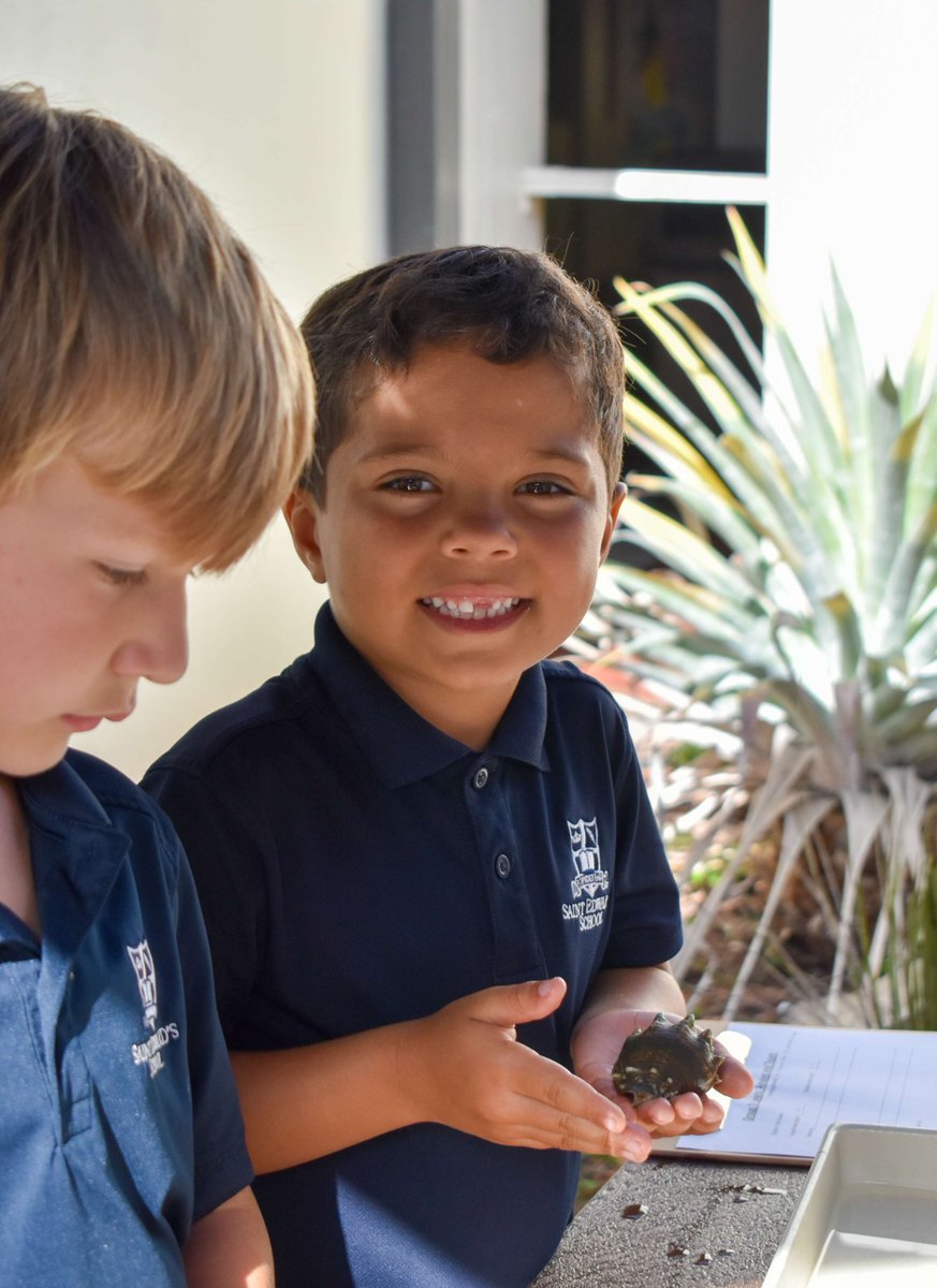 StEdsVero's tweet photo. Big science for our little learners!

Kindergarten visited the AP Bio Lab this morning, where Ms. Buckley and her students guided them through hands-on stations exploring measurements, micropipettes, microscopes, the human body and even hermit crabs. https://t.co/d6maq4viNx