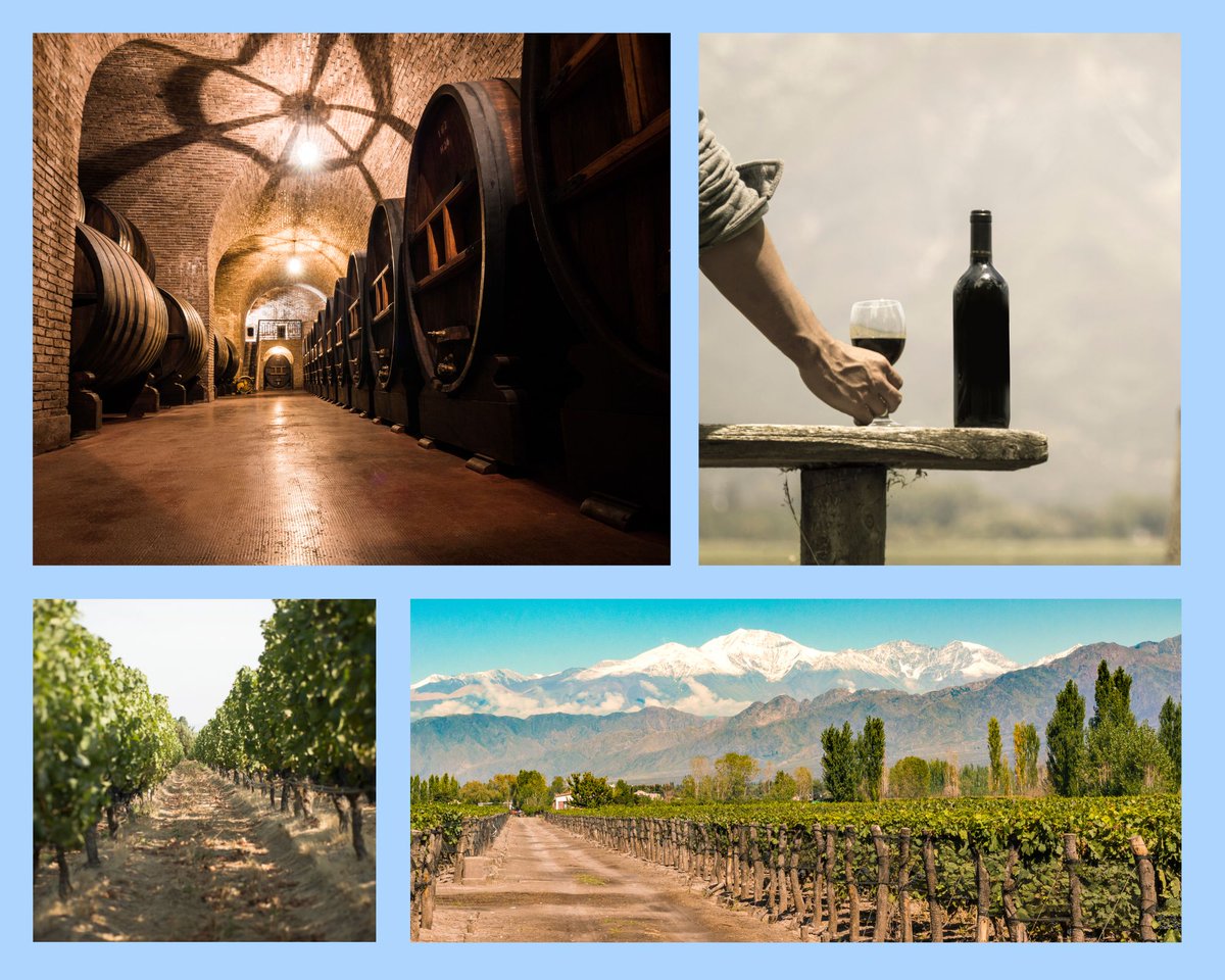 suedamerika24's tweet photo. Weinreisen durch Argentinien &amp; Chile: Die schönsten Weinregionen Südamerikas entdecken https://t.co/SV6UcuDn4g https://t.co/EO49UntA07