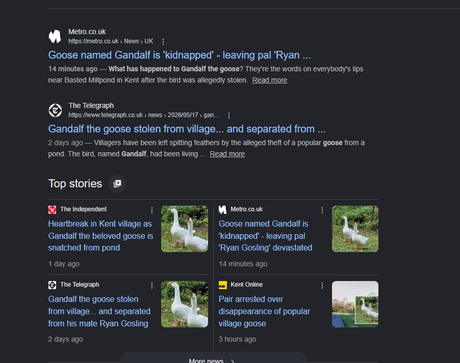 vibooor tweet media