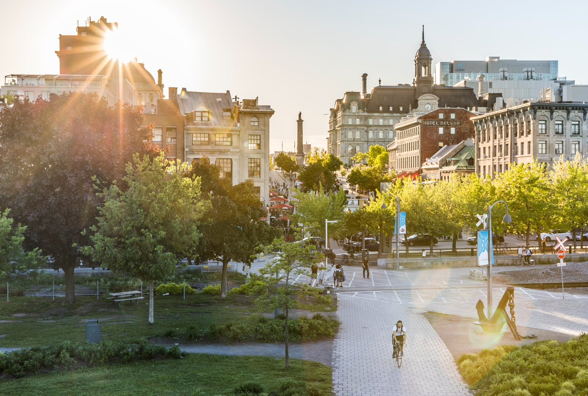 Mon Montréal tweet media