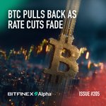 Photo by Bitfinex em Português (@BitfinexPOR)
