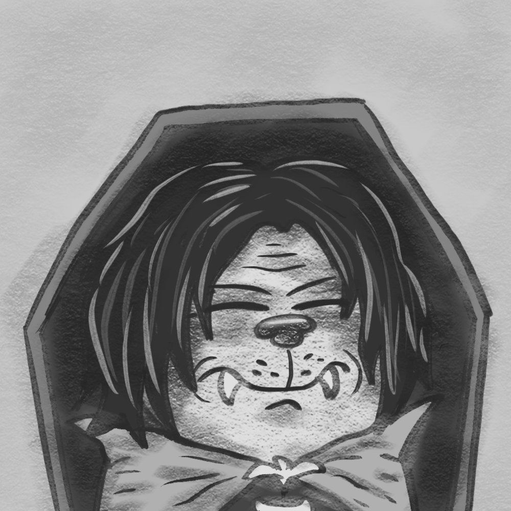 OCTO 🥷 tweet media