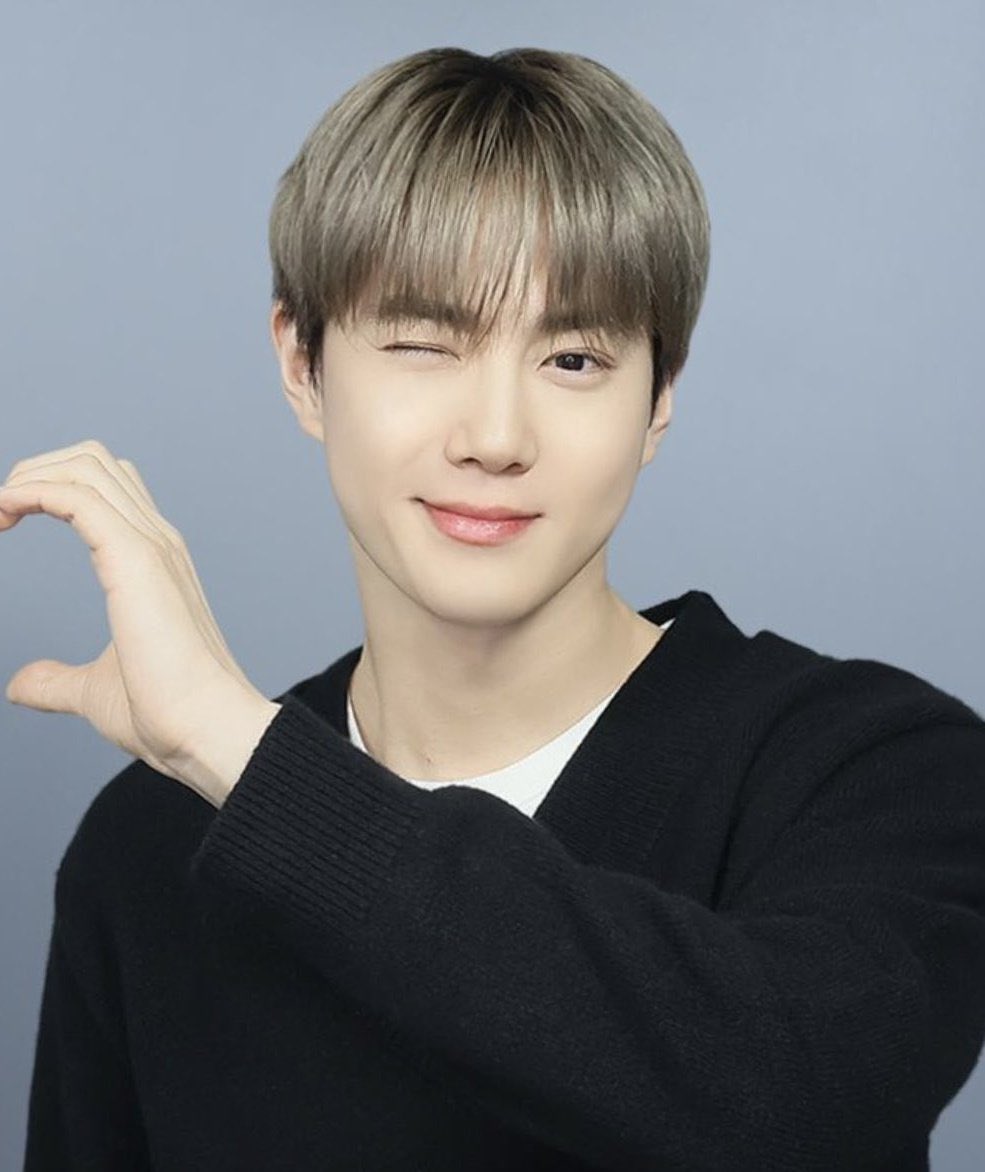 끼토산 tweet media
