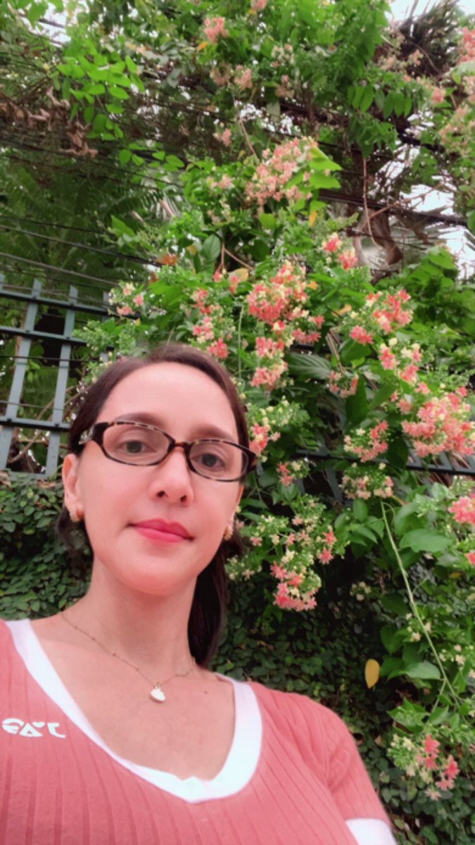 kunjunim's tweet photo. Combretum indicum, commonly known as the Rangoon creeper or #Burmacreeper, is a vine with #redflower clusters which is native to tropical Asia and grows in thickets, primary and secondary forest, and along river banks in the Indian subcontinent https://t.co/COwVX0SErI