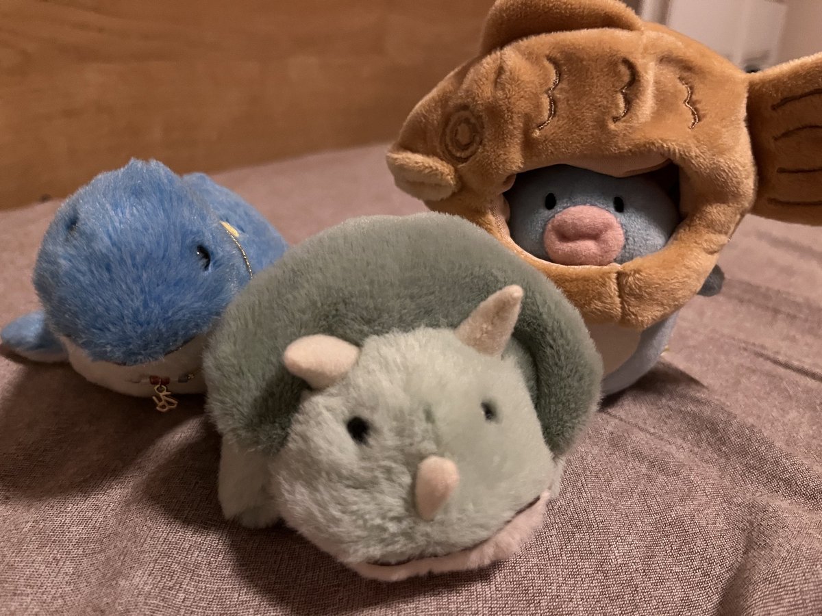prpr_ty55's tweet photo. みんなー、おやぷりー！
#ぬい撮り
#ぷりぷり https://t.co/Xv0iD2d8Zo