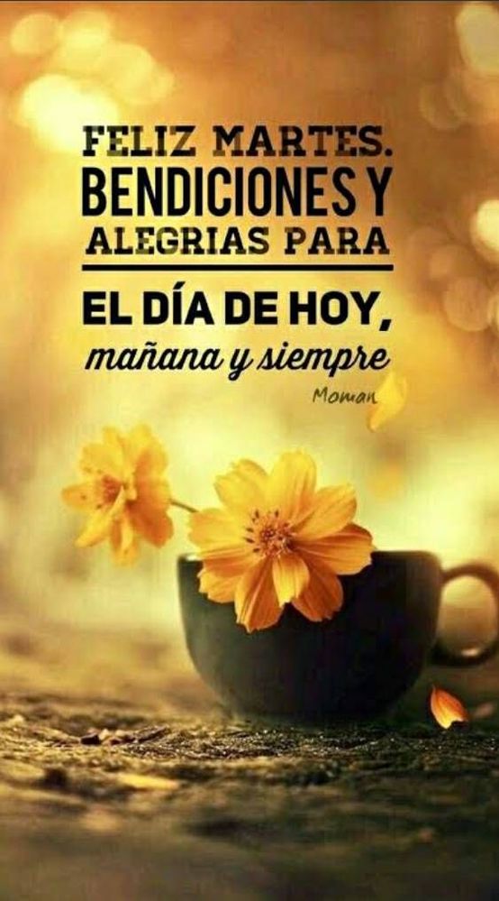 Baltazar Lopez tweet media