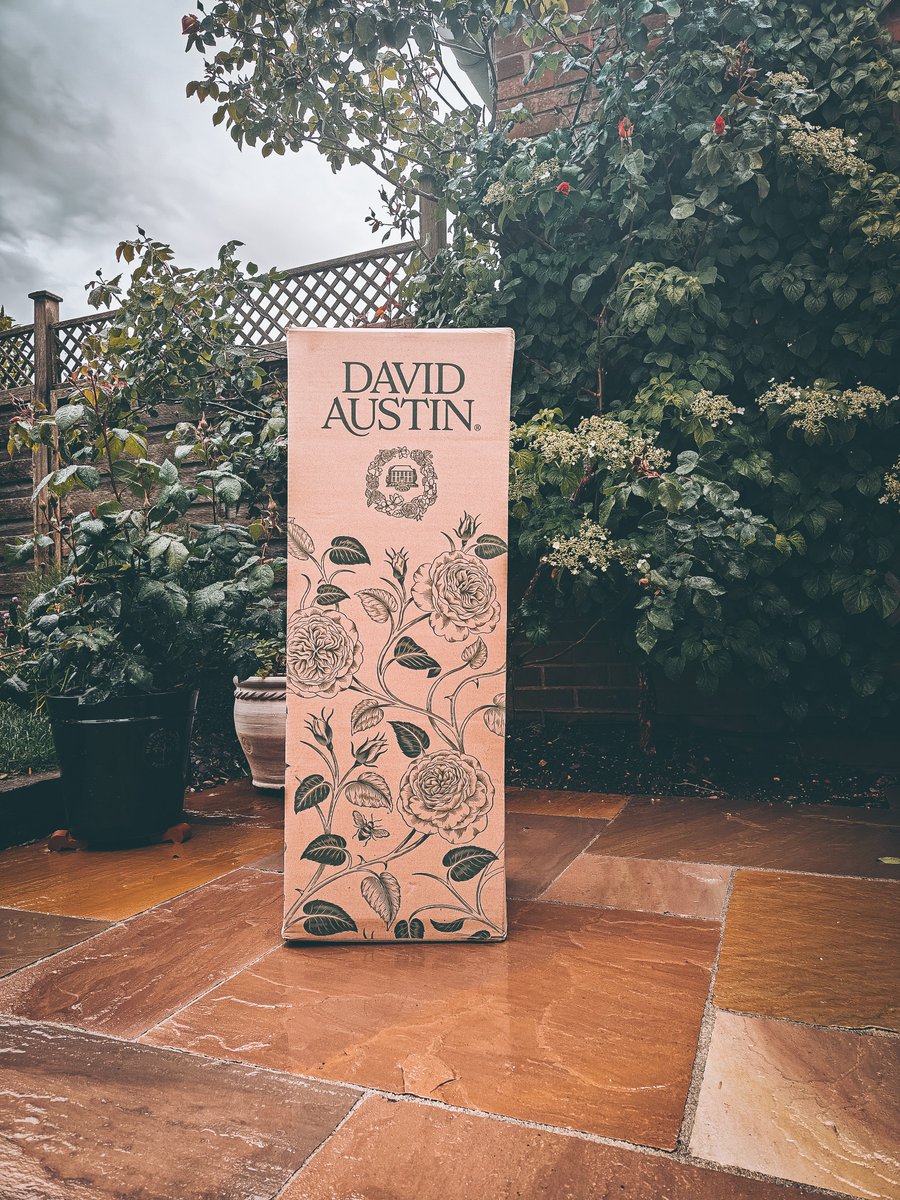 thehoffhome's tweet photo. @DAustinRoses 
Thank you for delivering my new addition. As soon as better weather reaches us, I will be proudly displaying the new Sir David Beckham rose in its new home! https://t.co/KpmxpIoNJ8
