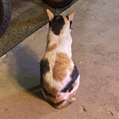 Tangmoxe's tweet photo. #NewProfilePic https://t.co/MV8Q074kyv