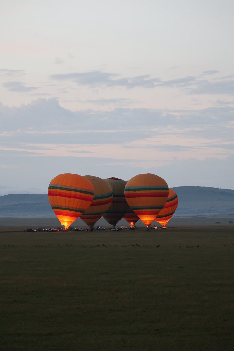 Let’s Discover Travel tweet media