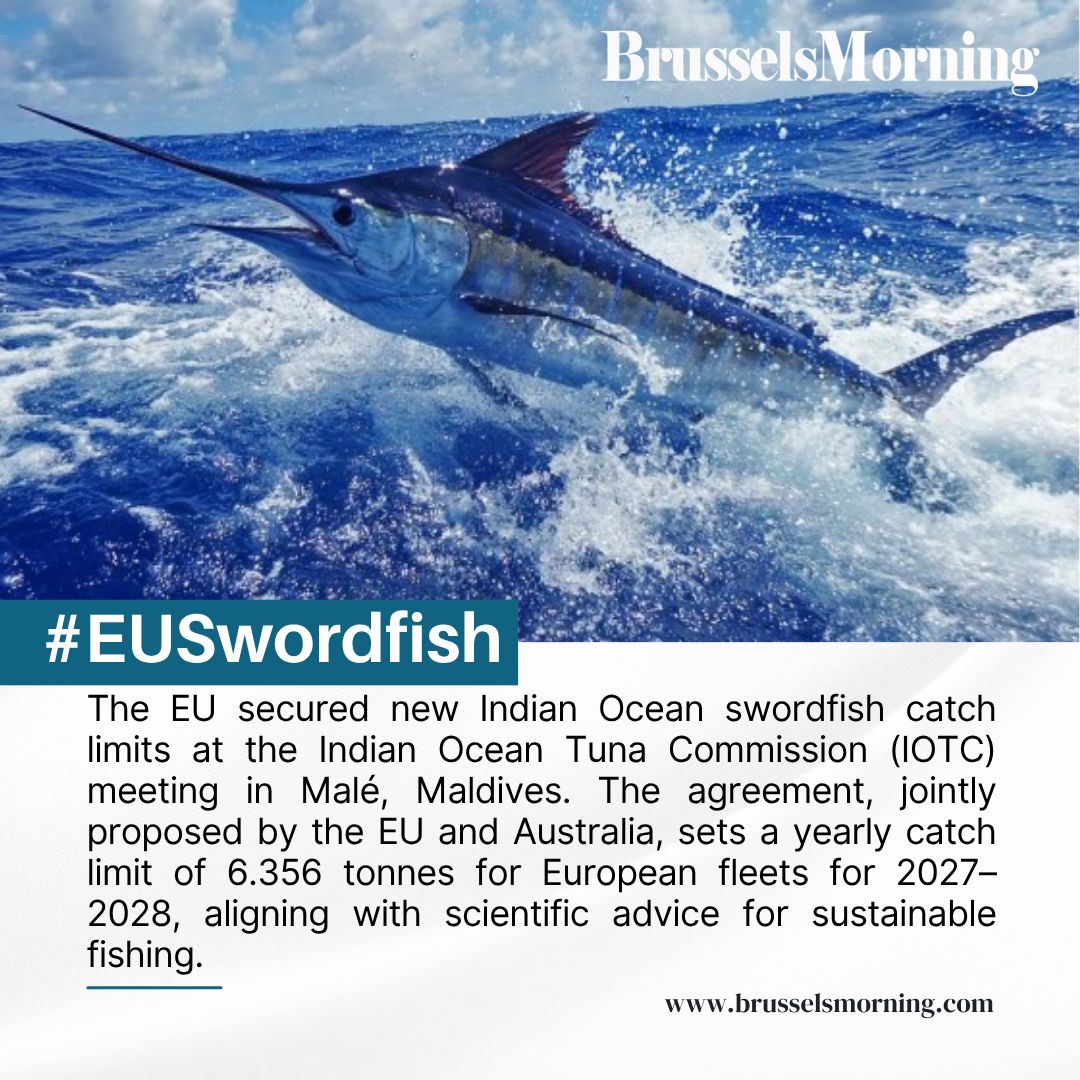 BrusselsMorning's tweet photo. EU secures sustainable swordfish catch limits in Indian Ocean at IOTC, ensuring long-term fishery health.

#BrusselsMorning #EUFisheries #Swordfish #IOTC #SustainableFishing

Read More: https://t.co/OYhFODGPjK https://t.co/BypOcY4JPz