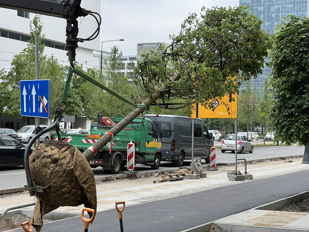 ZDM Warszawa tweet media