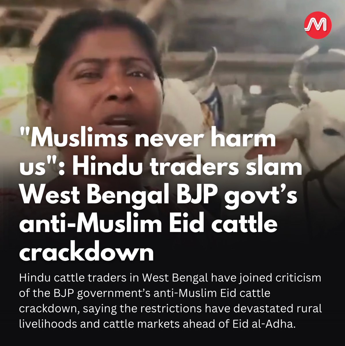 IAMCouncil's tweet photo. Hindu cattle traders in West Bengal have joined criticism of the BJP government’s anti-Muslim Eid cattle crackdown, saying the restrictions have devastated rural livelihoods and cattle markets ahead of Eid al-Adha.

https://t.co/GJyOJd2MeP https://t.co/BrCQUL028h