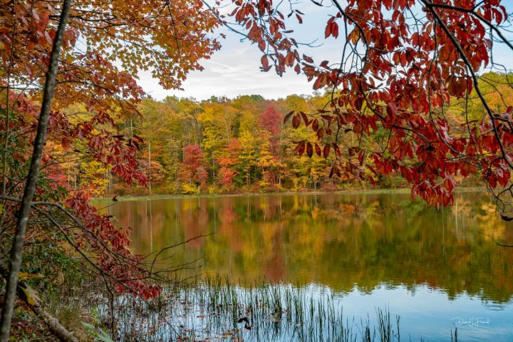 DFriend150's tweet photo. Art of the Day! "Fall scenes West Virginia on a pond". Buy at: https://t.co/zC1vp8JqEm https://t.co/hNshjn6f6Z