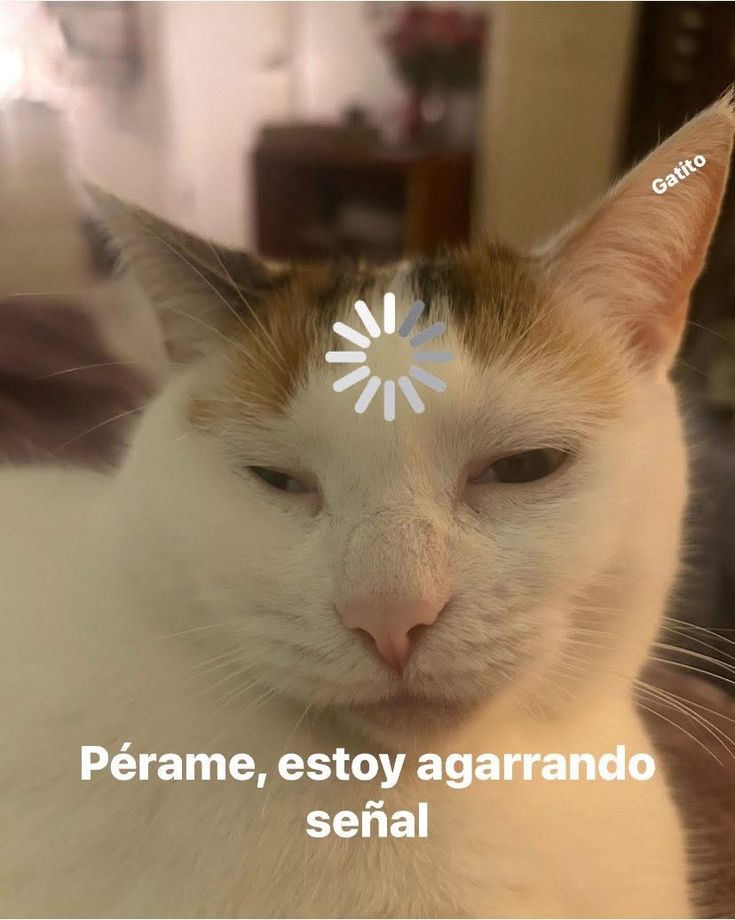 YiaNiTa 🔥 tweet media