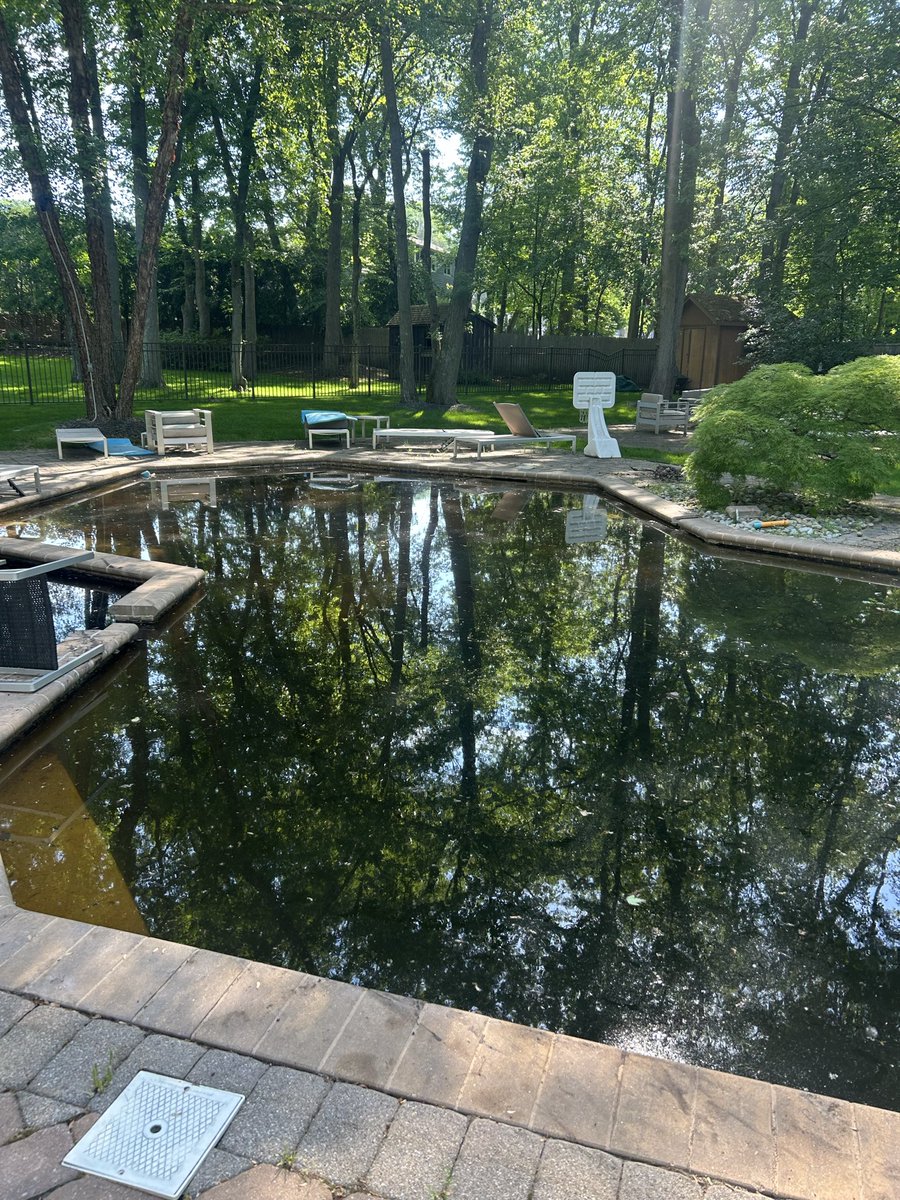 classic_longcut's tweet photo. Welcome to the swamp #pooldox https://t.co/yTLJzXBhRe