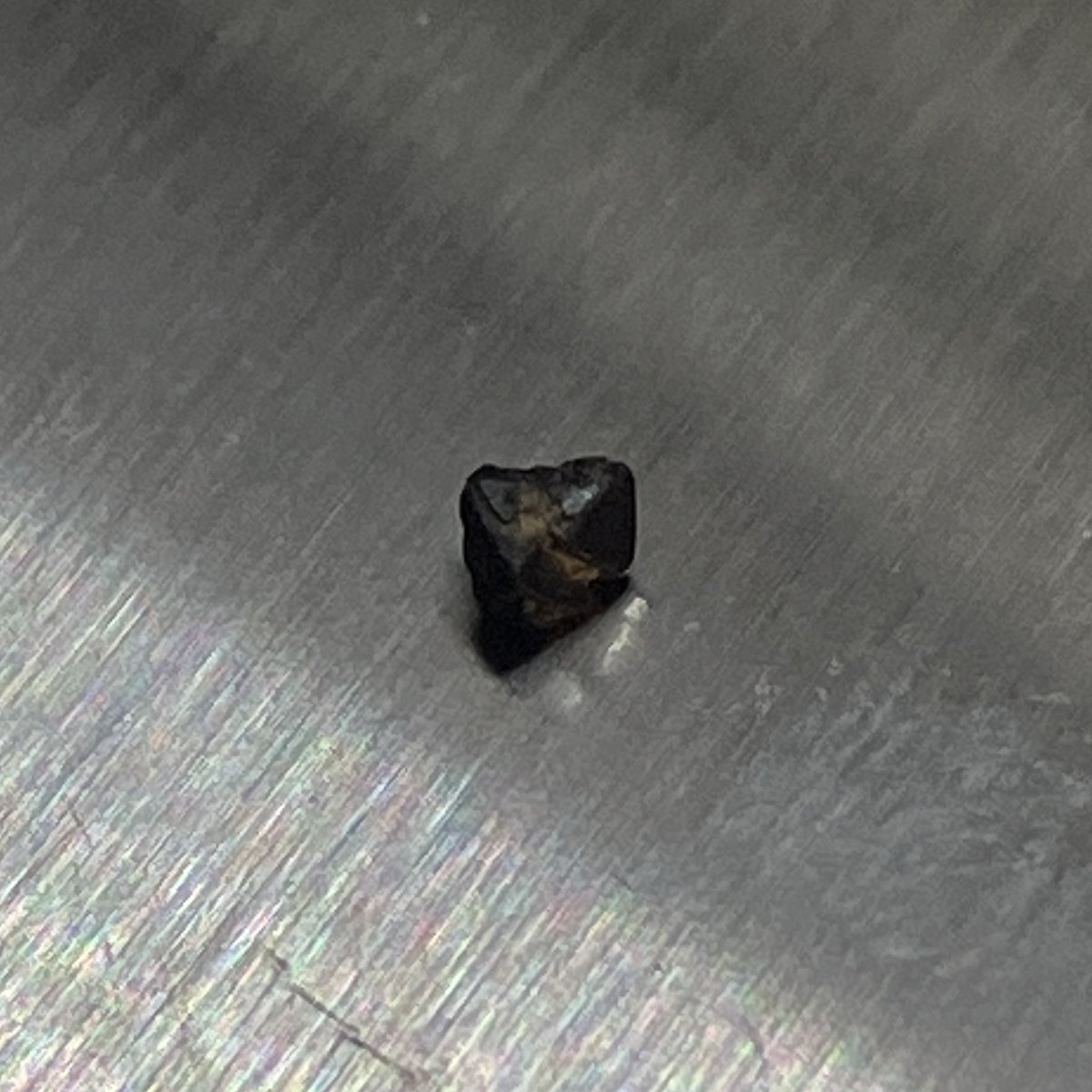jpmitiko0129's tweet photo. あまりにショックだったので、東北関東遠征の時にパンニングして砂鉄ばっかりになった砂のお土産（産地は回った県全部！）を14cm皿でパンニングwww
現場で見落としていた粉砂金を16粉発見！！
鉛やガーネット、磁鉄鉱（1粒だけ結晶あり）もこれだけありました(^^)
パンニング後の砂鉄層 侮れない
#砂金 https://t.co/wqjH7yD3wv