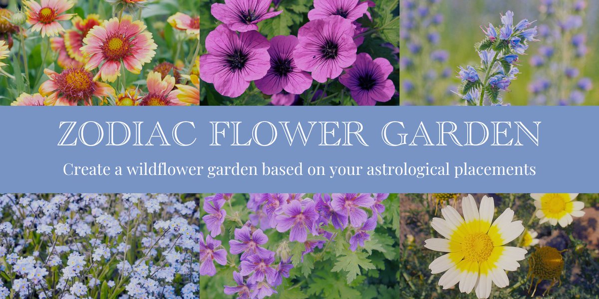Philoise_Week's tweet photo. Today’s theme is Greenhouse and Gardens, so it is once again time to plant your wildflower garden based on your Sun, Moon, Rising, and Venus signs! (We mixed the seeds around so your garden won’t be the same as last year’s) 
Quote to share your results! https://t.co/dVQqKCCc79