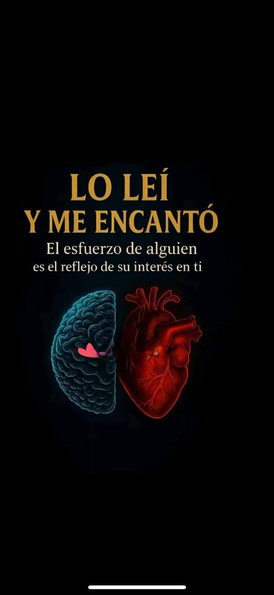 El_abuacatit0's tweet photo. 🧠🫀 https://t.co/Dk1XgbdovM