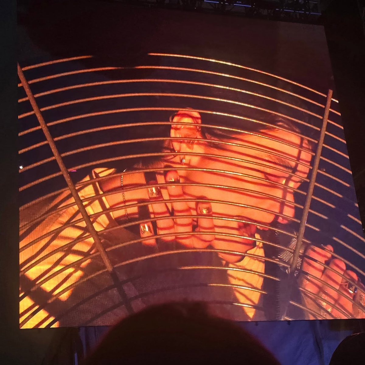 Lorde fix 🩻🧬⛓️ tweet media