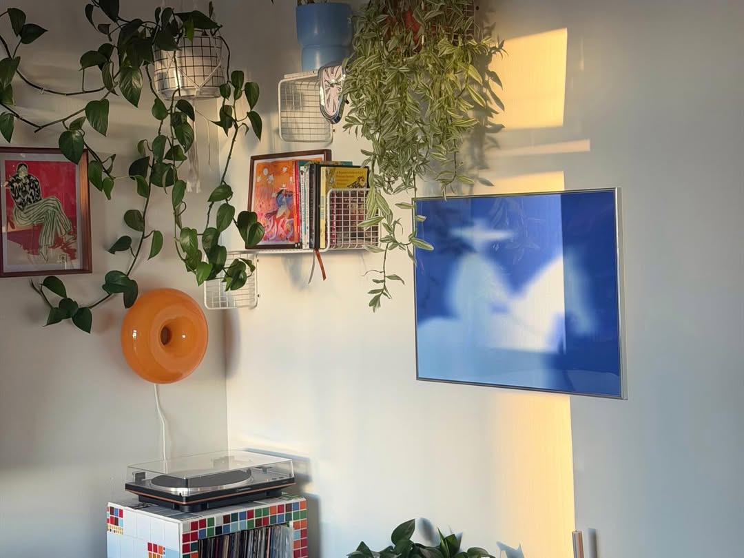 interiorsuckerr's tweet photo. https://t.co/3VydgnAj3F