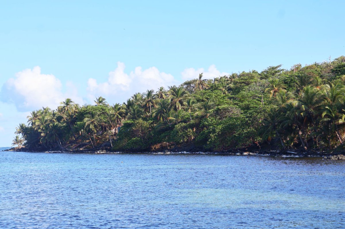 InturRACCS's tweet photo. ¡Feliz y bendecido martes! 🌊☀️🌴
Cada día es una nueva oportunidad para descubrir la magia de nuestro paraíso caribeño 😌🌺

#NicaraguaFascinanteIrresistible #NicaraguaÚnicaOriginal #VisitaNicaragua https://t.co/RJjYcfKbwH