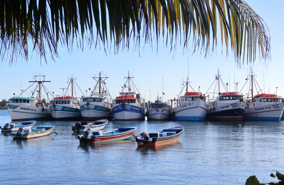 InturRACCS's tweet photo. ¡Feliz y bendecido martes! 🌊☀️🌴
Cada día es una nueva oportunidad para descubrir la magia de nuestro paraíso caribeño 😌🌺

#NicaraguaFascinanteIrresistible #NicaraguaÚnicaOriginal #VisitaNicaragua https://t.co/RJjYcfKbwH