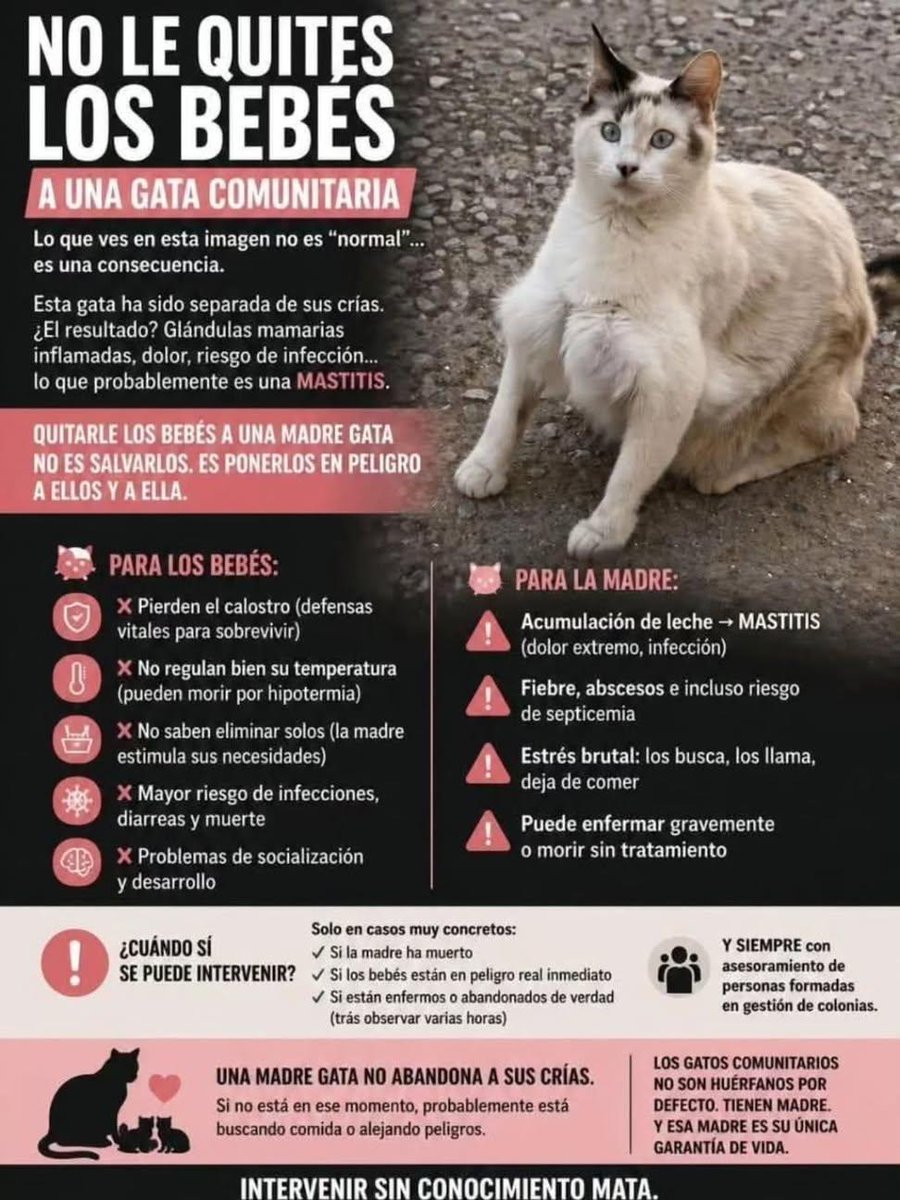 CesPaterna's tweet photo. Información de interés. https://t.co/mTntGOHqND