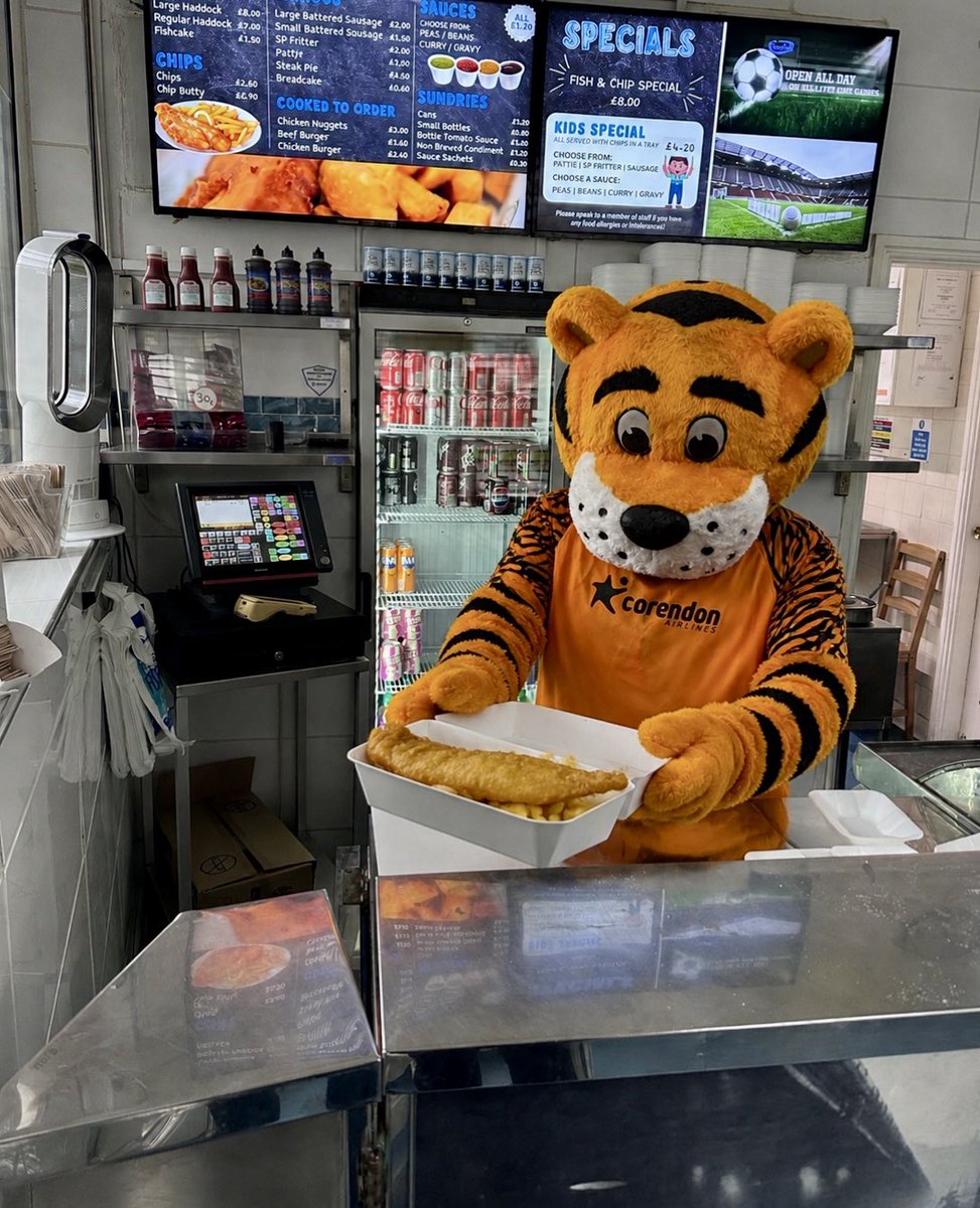 karlosull's tweet photo. 🚨 BREAKING NEWS 🚨
Roary has denied all involvement in “Spygate” allegations… claiming he was nowhere near the scene 👀
According to reliable sources, he was busy undercover at Kingfisher serving up fish &amp; chips all evening 🐟🍟
#hullcity #spygate https://t.co/rpXb2NuUGq
