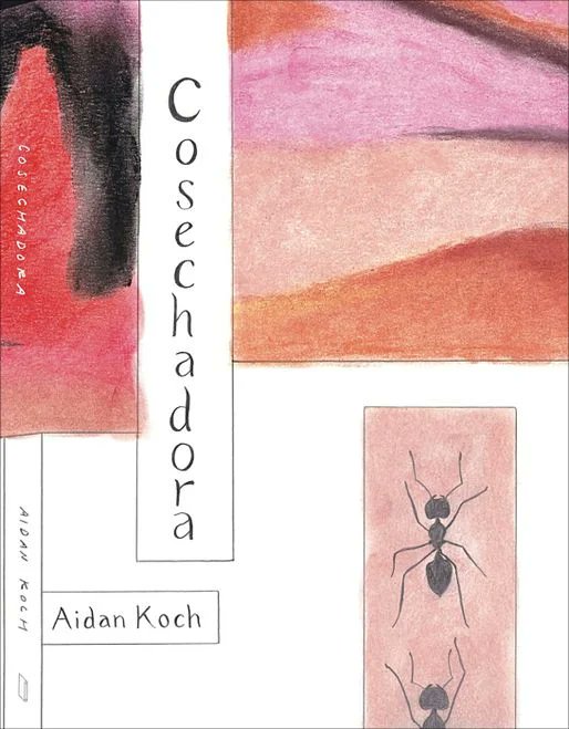 xaviroldamn's tweet photo. @AiaEdicions vuelve a traernos a Aidan Koch con el hipnótico COSECHADORA, un viaje sensorial en cuatro movimientos hacia un lugar donde se encuentra lo telúrico con lo industrial capaz de colocar al/la lector/a en un estado de desconcierto fascinado https://t.co/yZBGdWuEk0