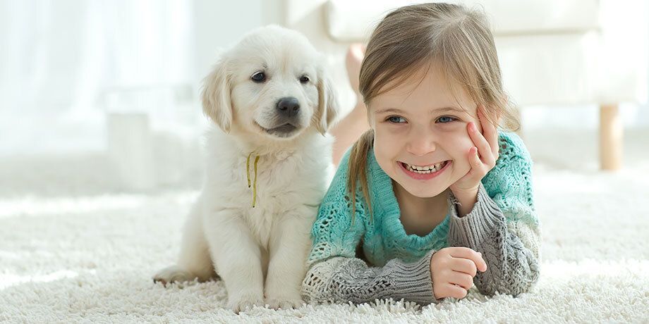 sumydesigns's tweet photo. Learn how combining a strong carpet cleaning website design with an optimized Google Business Profile can help local carpet cleaners get found and win more customers.
 https://t.co/ZNkO5pg6jT https://t.co/cvWkVzzc9r