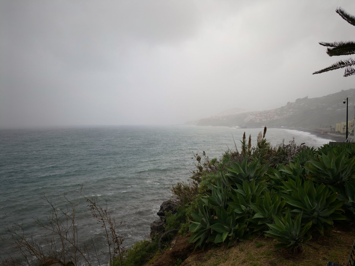 Riz_Rizen's tweet photo. Gloomy 🦐 https://t.co/KWg9IrSU6C