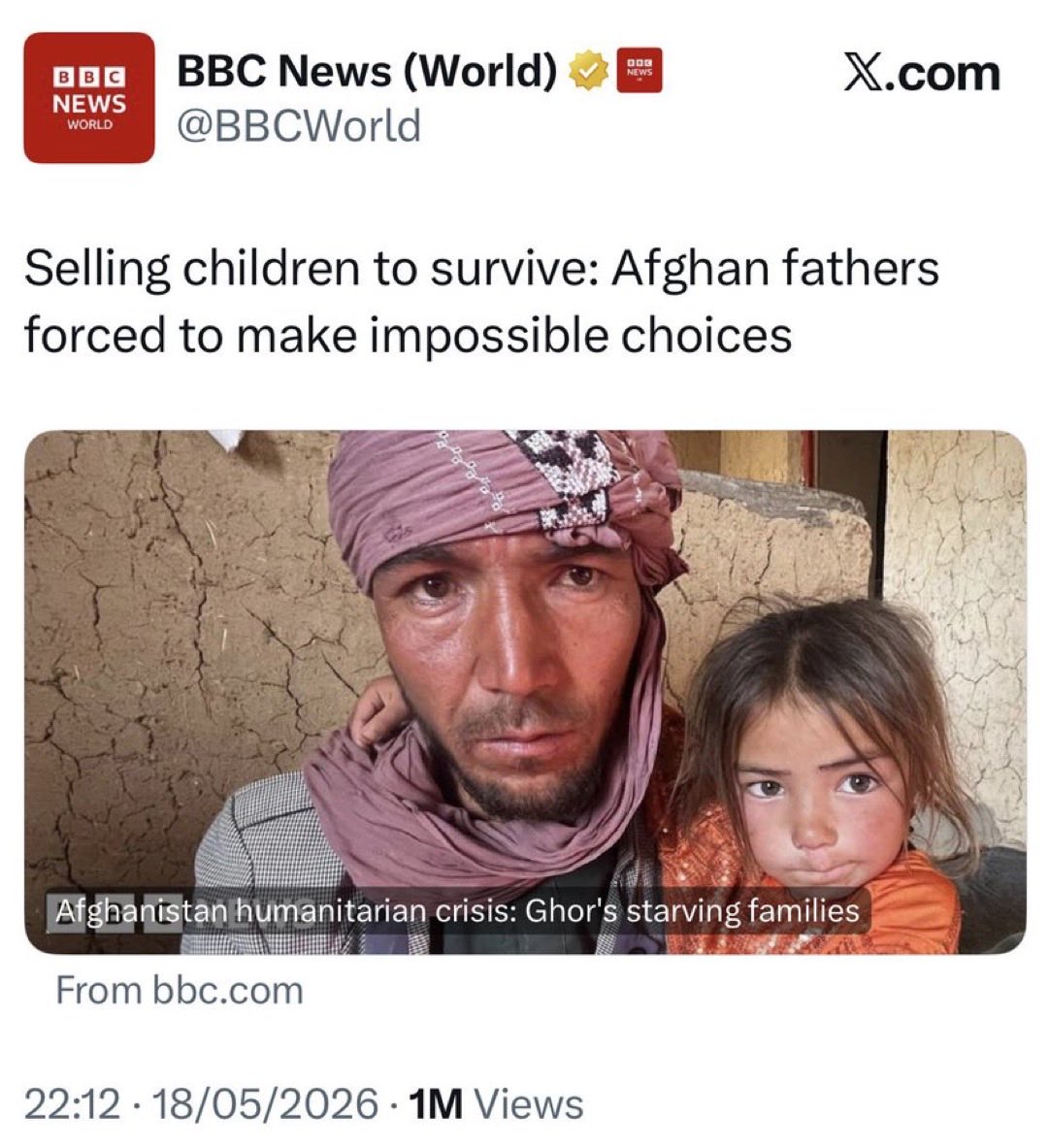 Gen Sheep tweet media
