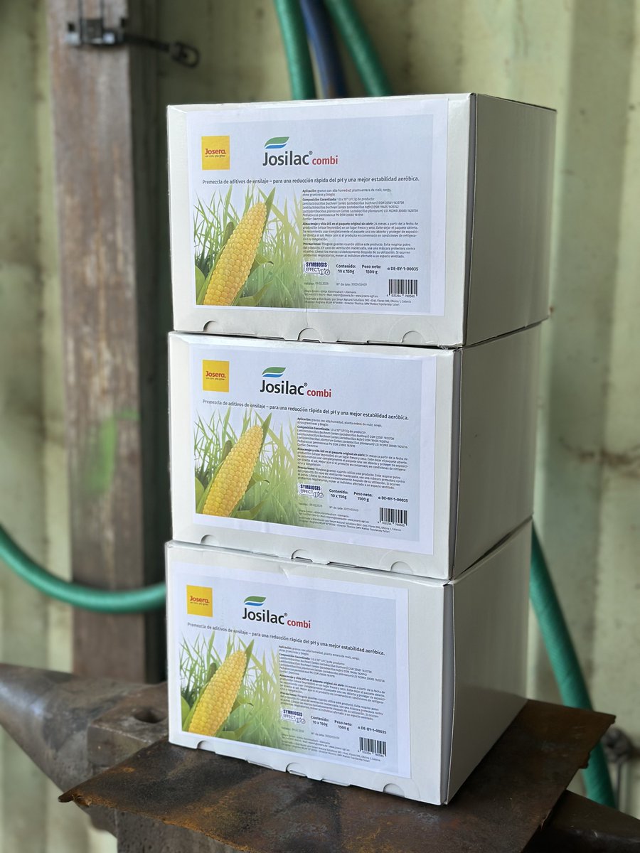 sns_uruguay's tweet photo. Se siguen picando maíces de segunda por #Colonia 🇺🇾
Bastante disímiles en calidad y rendimiento
La inoculación es una sola #JosilacCombi 🇩🇪
#Josera 🇩🇪 https://t.co/B4Y93t9ljE