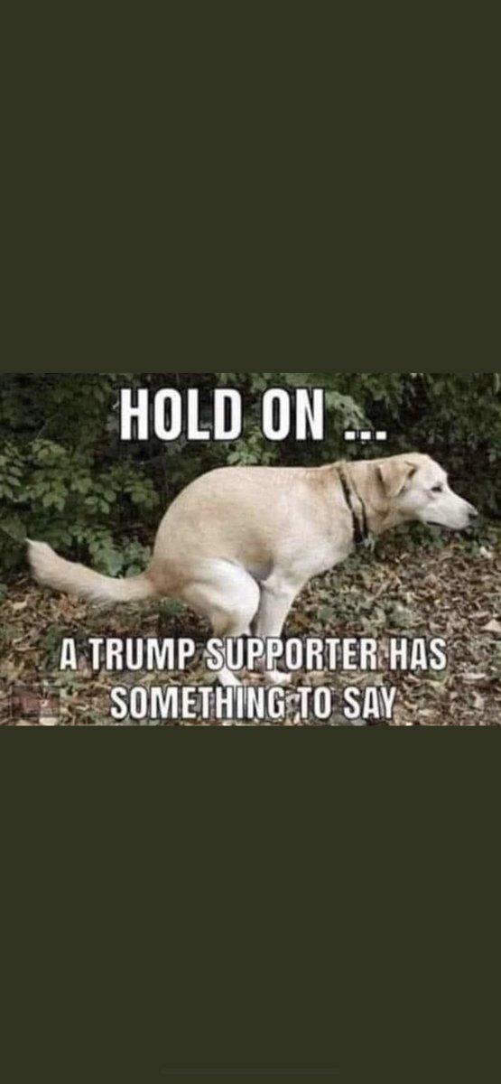 @trumpisacriminal tweet media