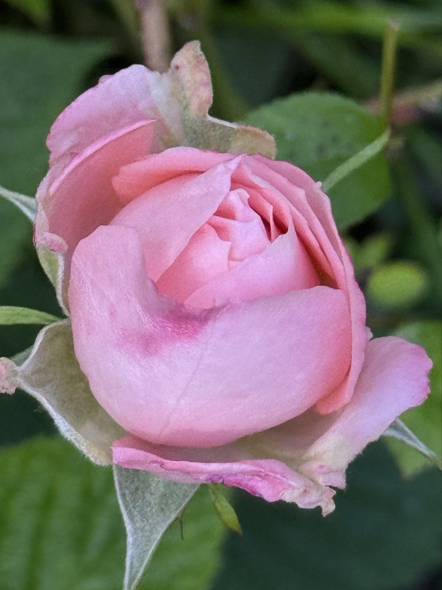 Integrative Healing tweet media