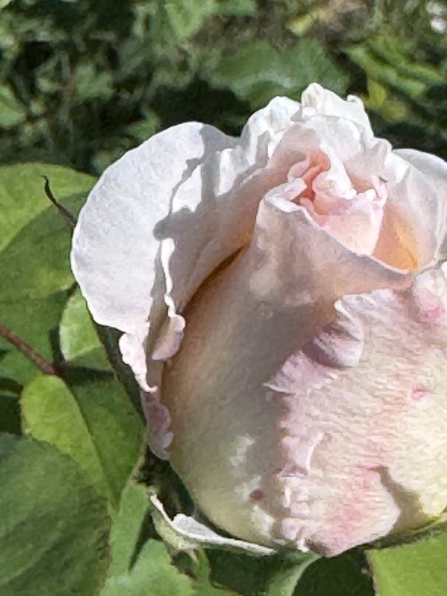 Integrative Healing tweet media